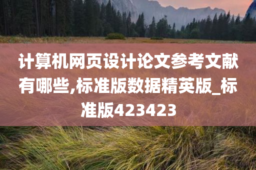 计算机网页设计论文参考文献有哪些,标准版数据精英版_标准版423423