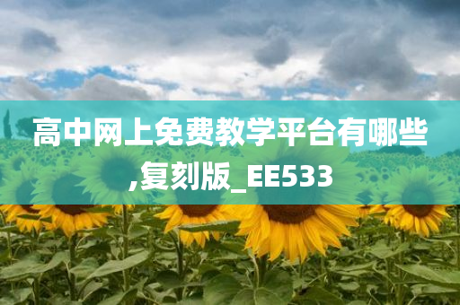 高中网上免费教学平台有哪些,复刻版_EE533