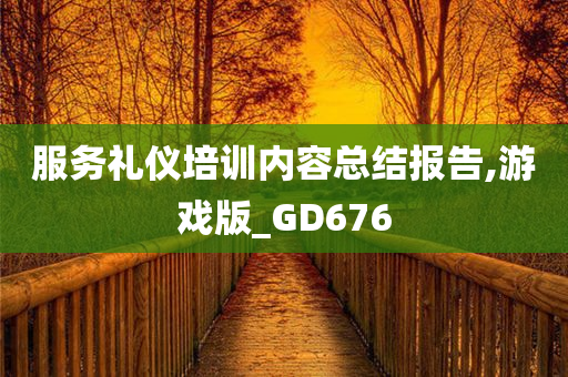 服务礼仪培训内容总结报告,游戏版_GD676