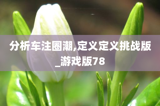 分析车注圈潮,定义定义挑战版_游戏版78