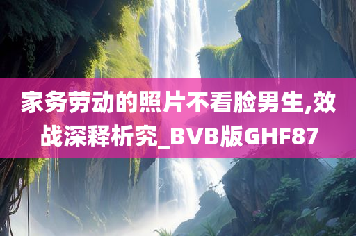 家务劳动的照片不看脸男生,效战深释析究_BVB版GHF87