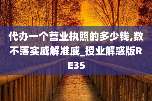 代办一个营业执照的多少钱,数不落实威解准威_授业解惑版RE35