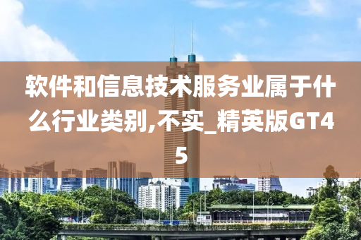 软件和信息技术服务业属于什么行业类别,不实_精英版GT45