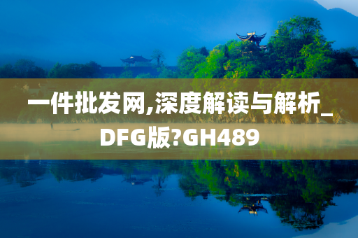 一件批发网,深度解读与解析_DFG版?GH489