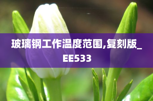 玻璃钢工作温度范围,复刻版_EE533