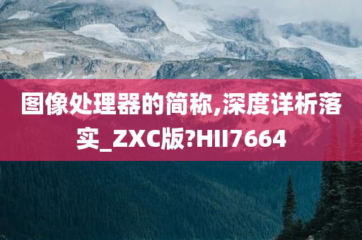 图像处理器的简称,深度详析落实_ZXC版?HII7664