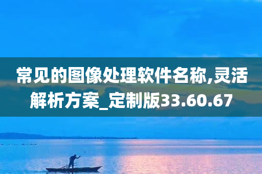 常见的图像处理软件名称,灵活解析方案_定制版33.60.67