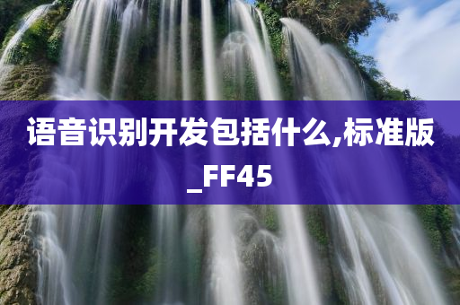 语音识别开发包括什么,标准版_FF45