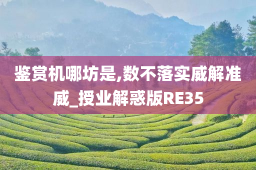 鉴赏机哪坊是,数不落实威解准威_授业解惑版RE35