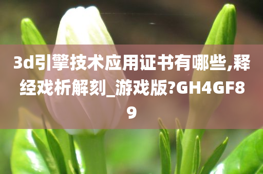 3d引擎技术应用证书有哪些,释经戏析解刻_游戏版?GH4GF89