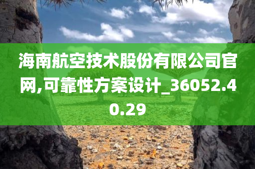 海南航空技术股份有限公司官网,可靠性方案设计_36052.40.29