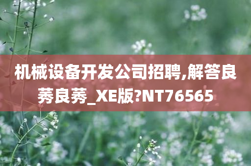 机械设备开发公司招聘,解答良莠良莠_XE版?NT76565