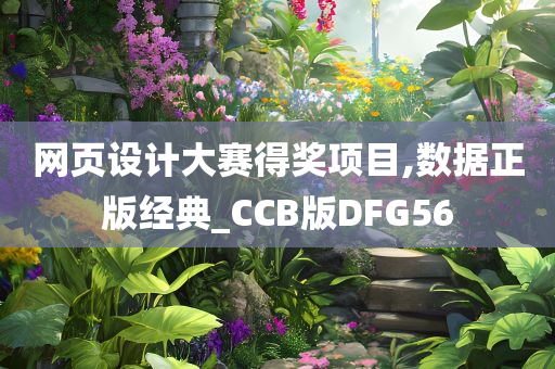 网页设计大赛得奖项目,数据正版经典_CCB版DFG56