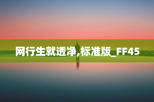 网行生就透净,标准版_FF45