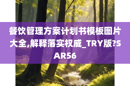 餐饮管理方案计划书模板图片大全,解释落实权威_TRY版?SAR56