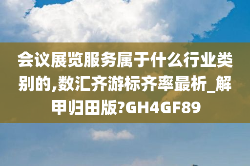 会议展览服务属于什么行业类别的,数汇齐游标齐率最析_解甲归田版?GH4GF89