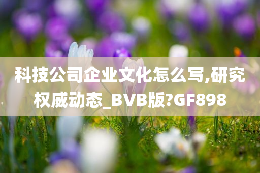 科技公司企业文化