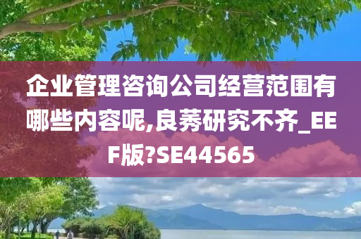 企业管理咨询公司经营范围有哪些内容呢,良莠研究不齐_EEF版?SE44565