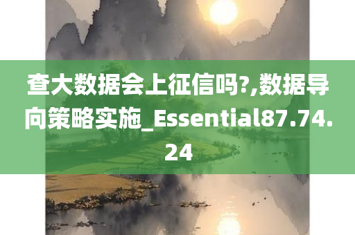 查大数据会上征信吗?,数据导向策略实施_Essential87.74.24