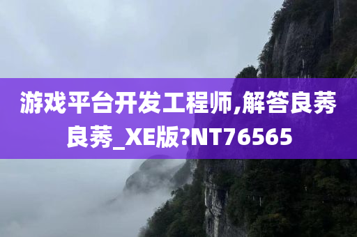 游戏平台开发工程师,解答良莠良莠_XE版?NT76565