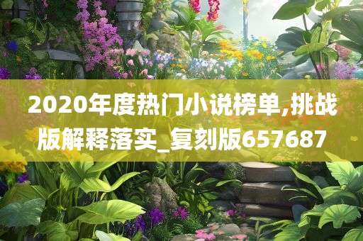 2020年度热门小说榜单,挑战版解释落实_复刻版657687