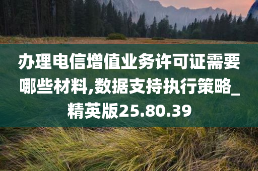 办理电信增值业务许可证需要哪些材料,数据支持执行策略_精英版25.80.39