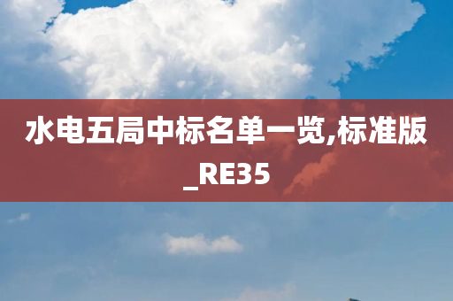 水电五局中标名单一览,标准版_RE35