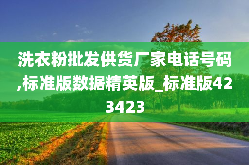 洗衣粉批发供货厂家电话号码,标准版数据精英版_标准版423423