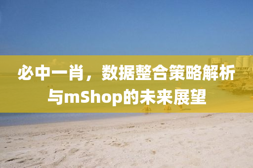 必中一肖，数据整合策略解析与mShop的未来展望