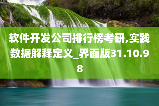 软件开发公司排行榜考研,实践数据解释定义_界面版31.10.98