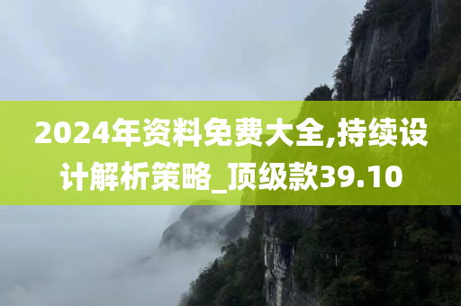 2024年资料免费大全,持续设计解析策略_顶级款39.10