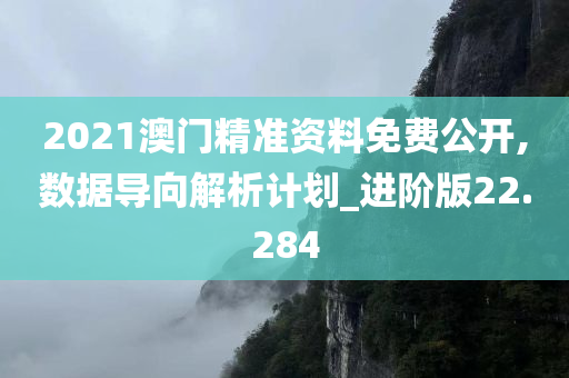 2021澳门精准资料免费公开,数据导向解析计划_进阶版22.284