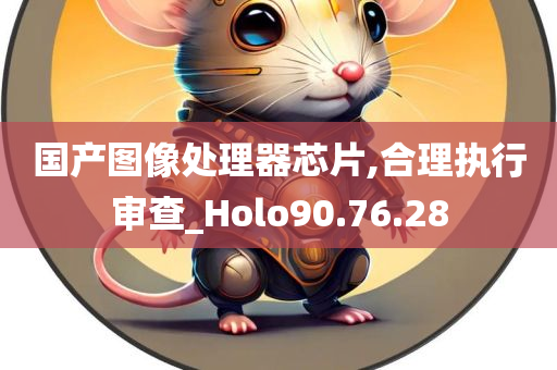 国产图像处理器芯片,合理执行审查_Holo90.76.28