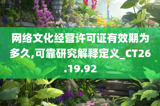 网络文化经营许可证有效期为多久,可靠研究解释定义_CT26.19.92