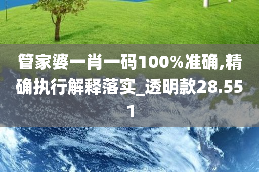 管家婆一肖一码100%准确,精确执行解释落实_透明款28.551