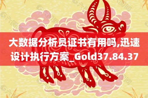 大数据分析员证书有用吗,迅速设计执行方案_Gold37.84.37