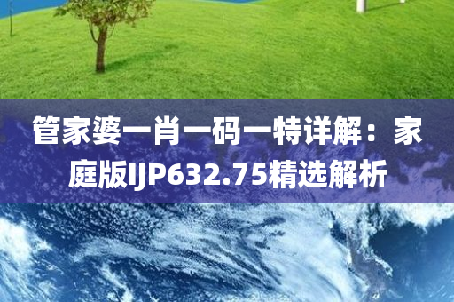 管家婆一肖一码一特详解：家庭版IJP632.75精选解析