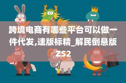 跨境电商有哪些平台可以做一件代发,速版标精_解民倒悬版ZS2