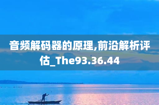 音频解码器的原理,前沿解析评估_The93.36.44