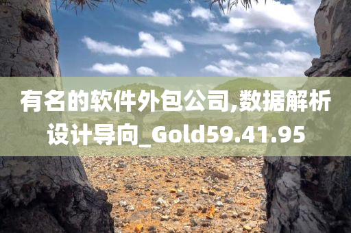 有名的软件外包公司,数据解析设计导向_Gold59.41.95