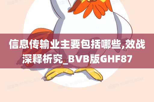 信息传输业主要包括哪些,效战深释析究_BVB版GHF87