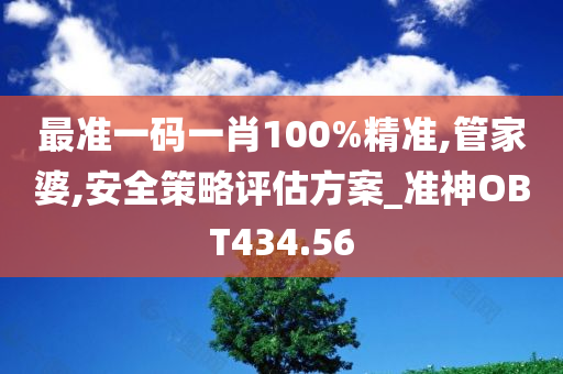 最准一码一肖100%精准,管家婆,安全策略评估方案_准神OBT434.56