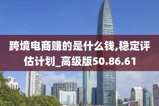 跨境电商赚的是什么钱,稳定评估计划_高级版50.86.61