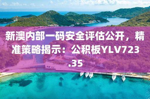 新澳内部一码安全评估公开，精准策略揭示：公积板YLV723.35