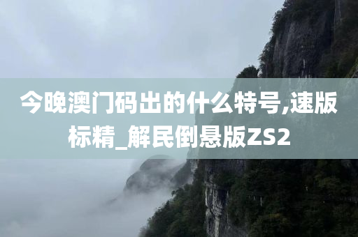 今晚澳门码出的什么特号,速版标精_解民倒悬版ZS2