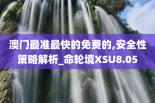 澳门最准最快的免费的,安全性策略解析_命轮境XSU8.05