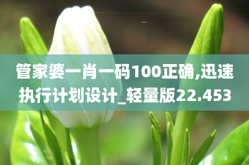 管家婆一肖一码100正确,迅速执行计划设计_轻量版22.453