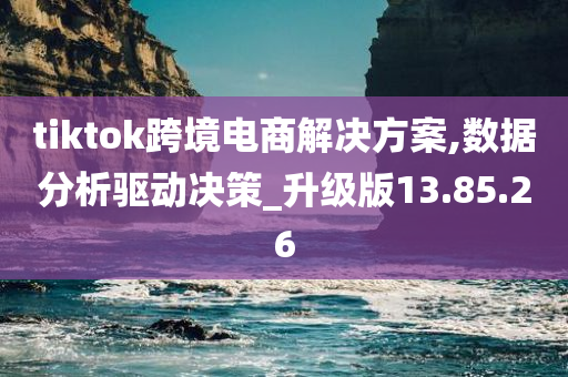 tiktok跨境电商解决方案,数据分析驱动决策_升级版13.85.26