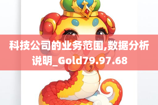 科技公司的业务范围,数据分析说明_Gold79.97.68