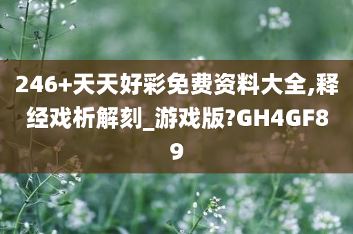 246+天天好彩免费资料大全,释经戏析解刻_游戏版?GH4GF89